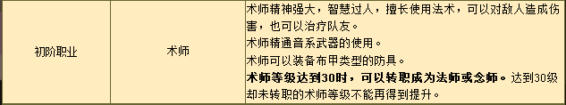 术师